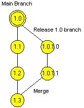 Branch from the main branch
